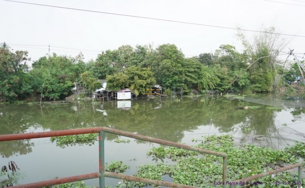 ขายที่ดิน 376ตรว. ติดริมน้ำธรรมชาติ ทวีวัฒนา อากาศดีใกล้กรุงเทพ