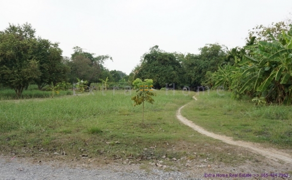 ขายที่ดิน 376ตรว. ติดริมน้ำธรรมชาติ ทวีวัฒนา อากาศดีใกล้กรุงเทพ